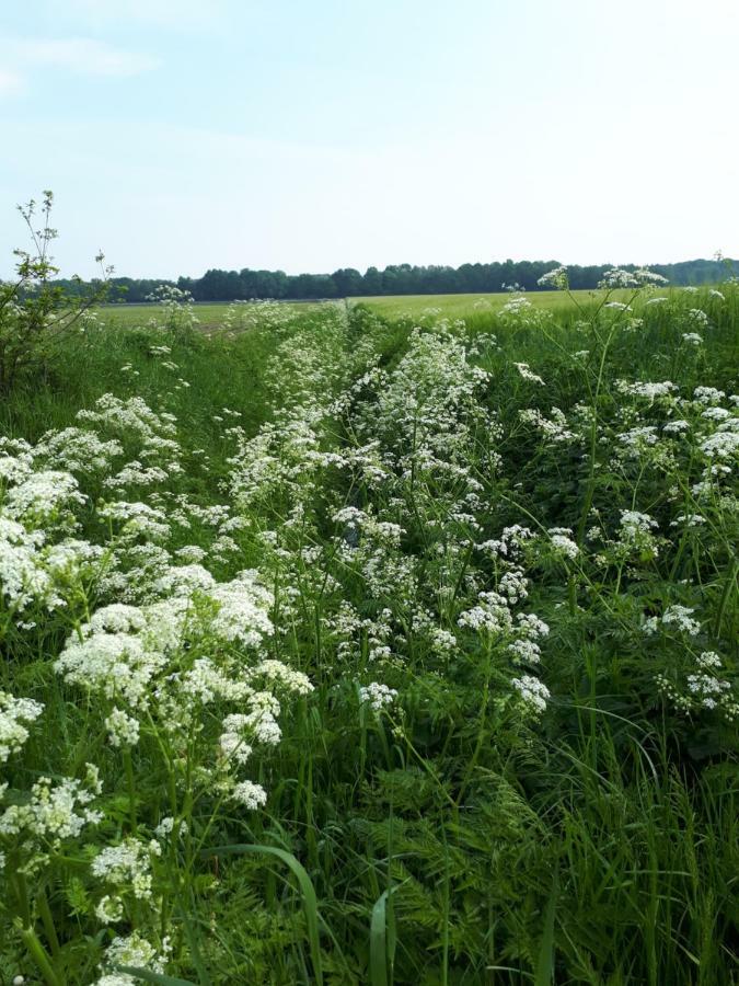 Gezond Boeren Verstand Dalerveen Экстерьер фото